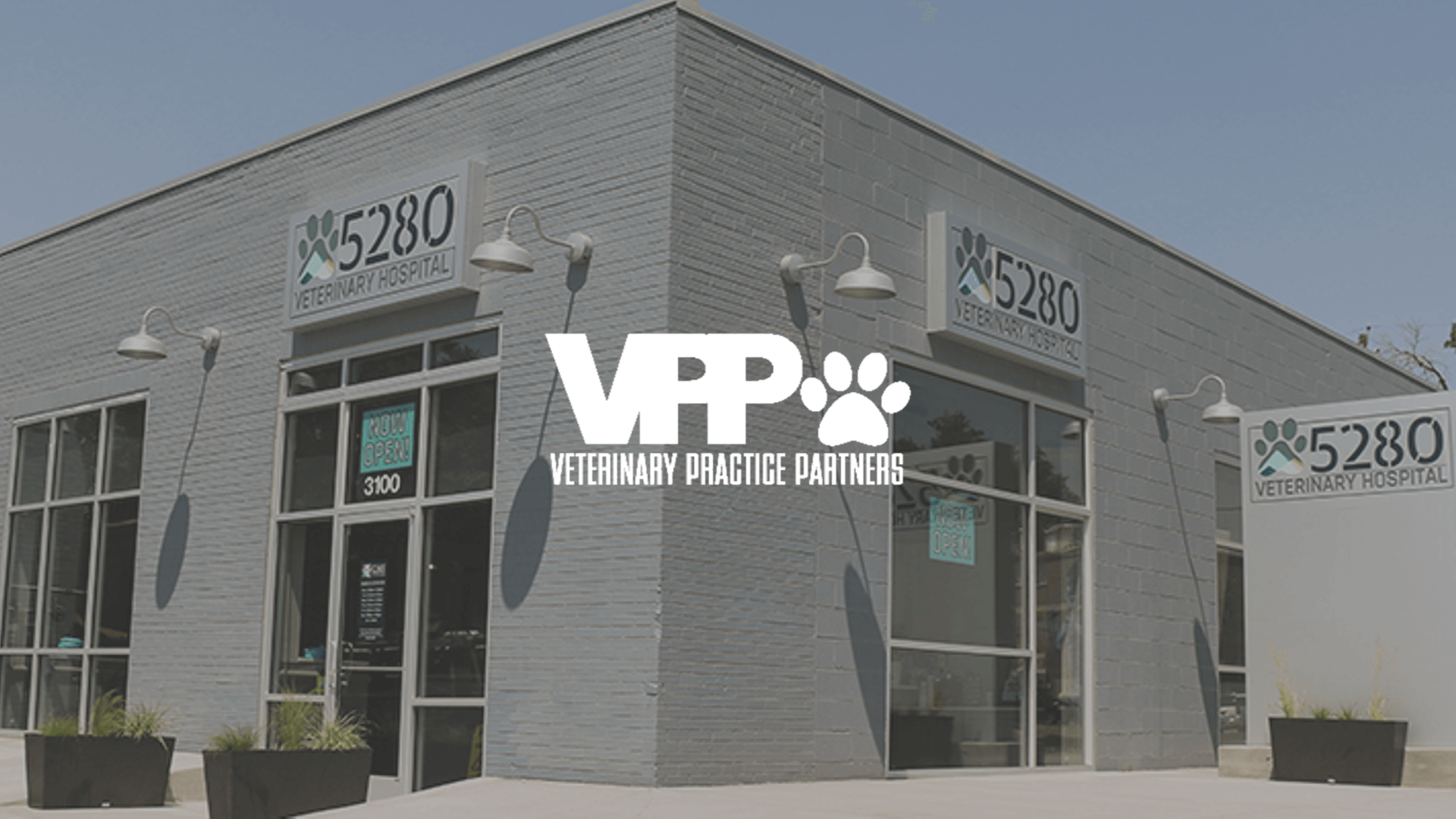 Veterinary Practice Partners Shares How They Scale Localized Social Posting Strategy