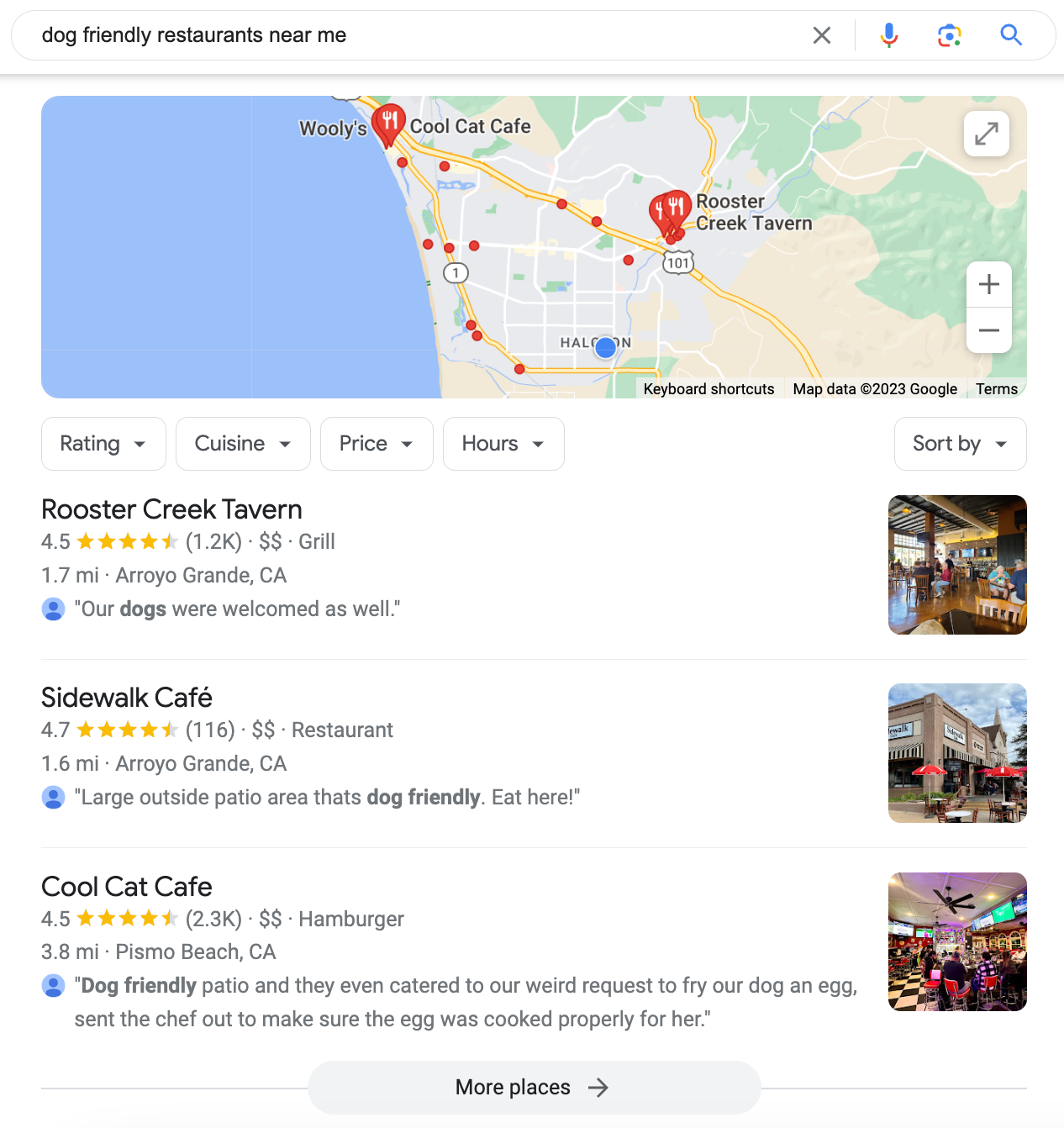 Google Search result for the query dog friendly restaurants near me showing results in Arroyo Grande, CA